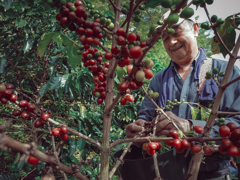 Friend Blend - Image 4